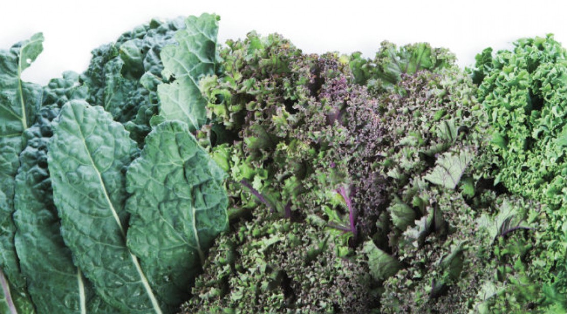 Healthy Recipes Simple Kale Salad Muscle & Fitness